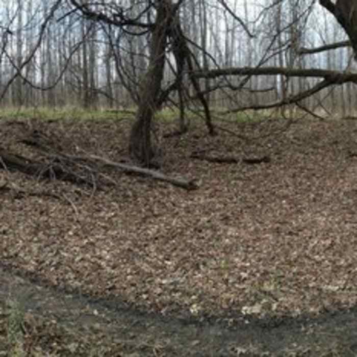 Near Trail D