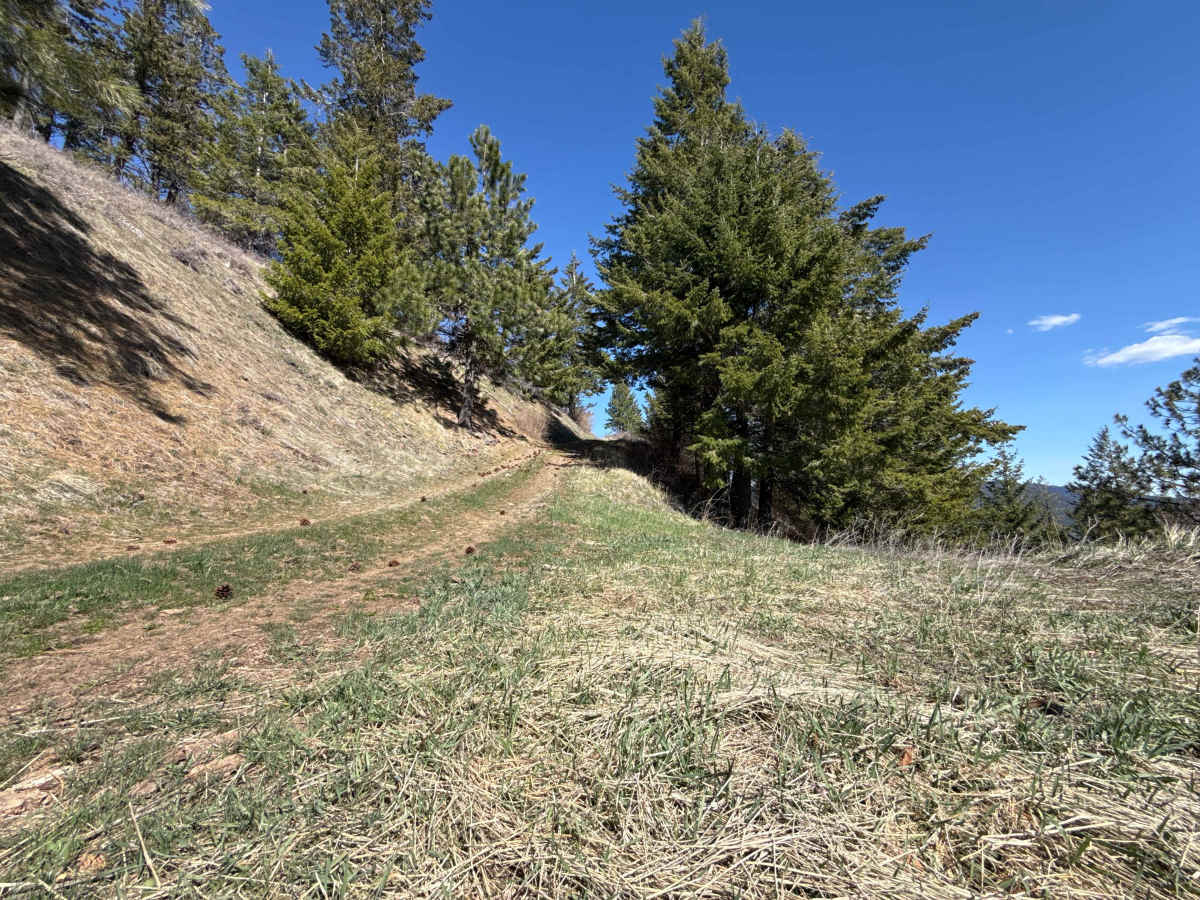 Eagle Mountain - FS 4300080 photo 4