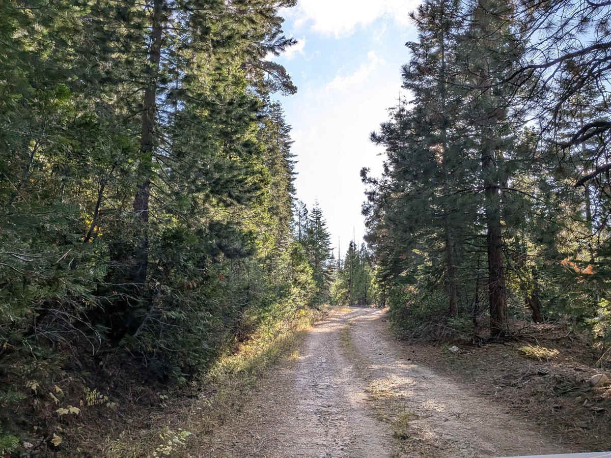 FS 5N30 trail photo