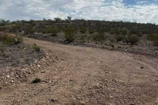 BLM SS1038