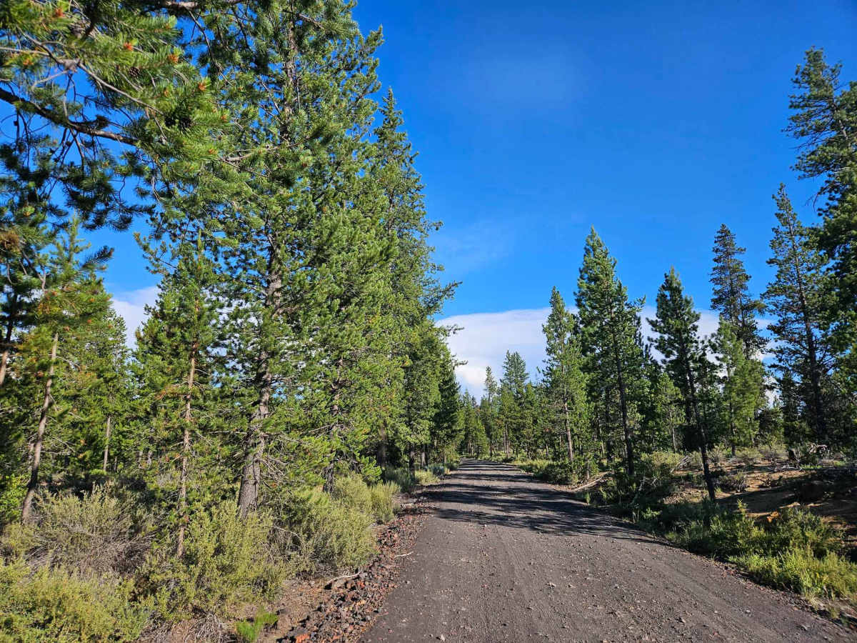 FS 4220000 trail photo