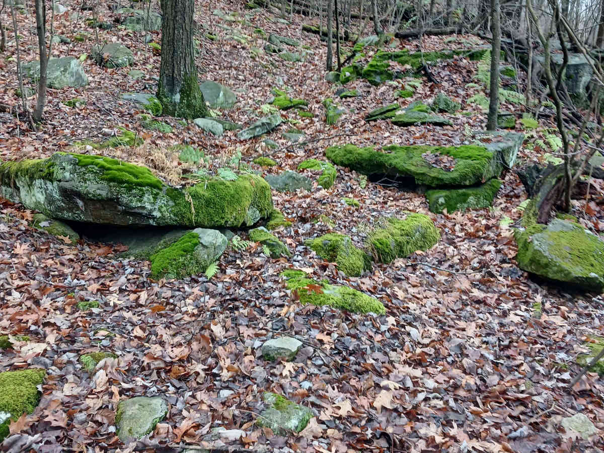 OHV 32 - Rock Run Recreation Area photo 2