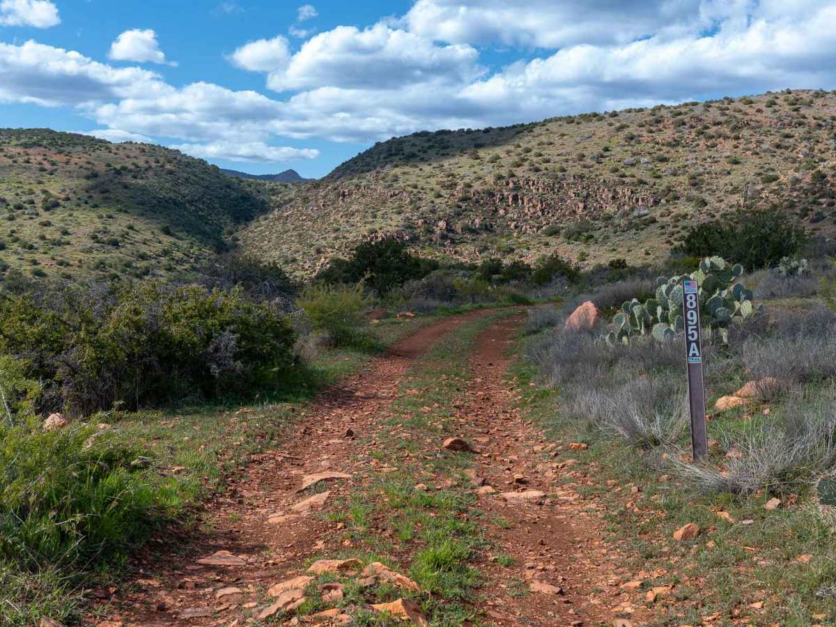 Boyer Cabin - FS 895A trail photo