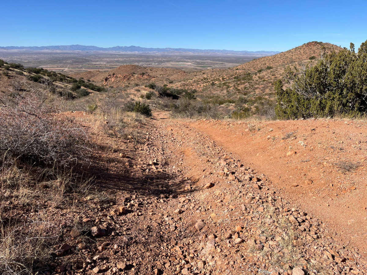 Bottletree Loop photo 3