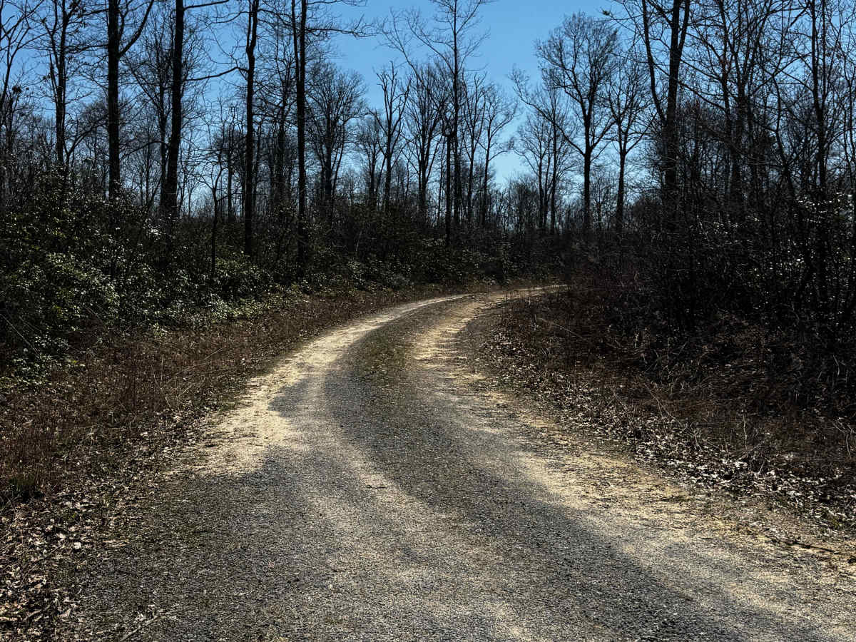 Laurel Run Trail photo 2
