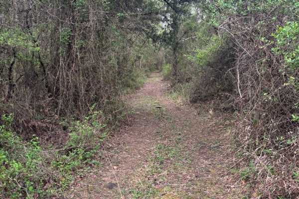 Point Remove Creek Spillway