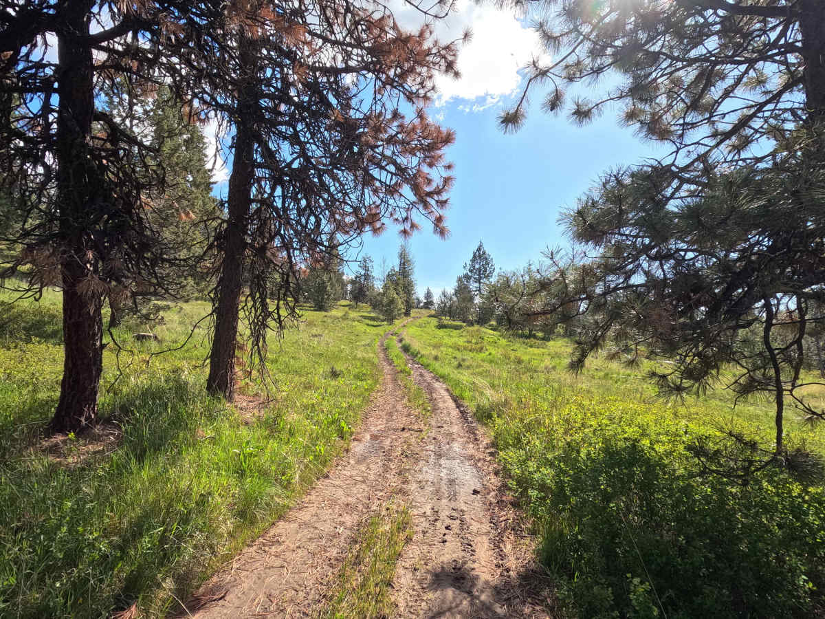 Trail 44 photo 4