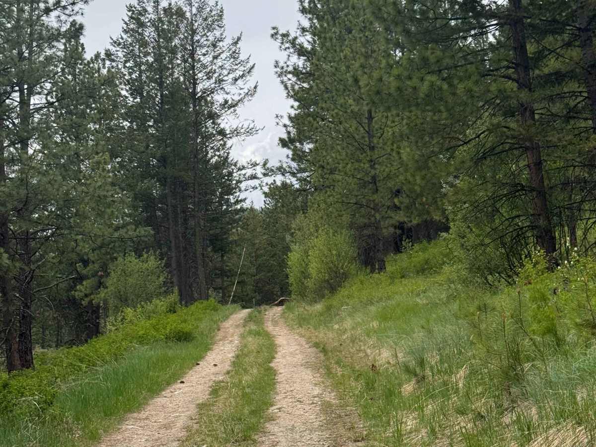 Hart Creek Ridge - FS 2000-325 photo 2