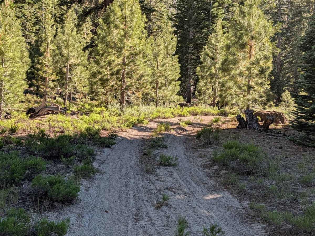 Flats Road - FS 3S57 trail photo