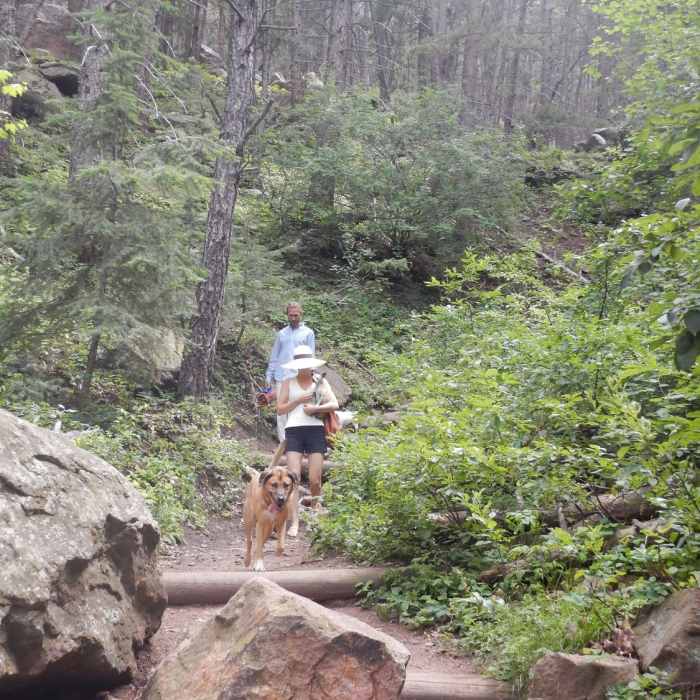 Near Amphitheater Trail
