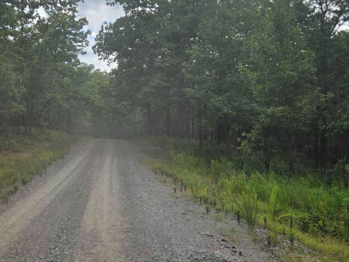 Cottonwood Road photo 3