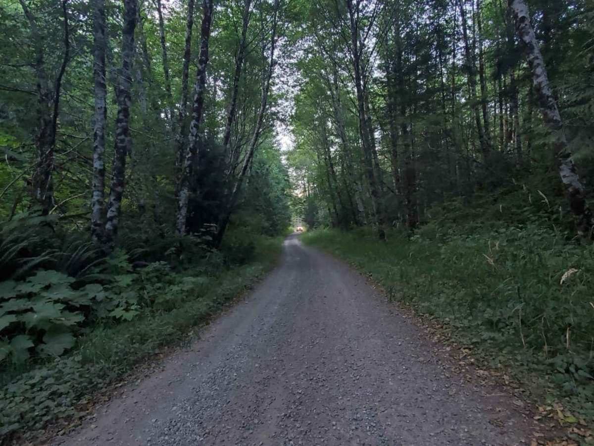River Road photo 5