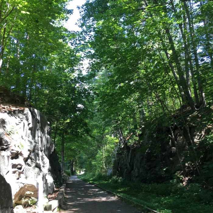 Near Cotton Valley Rail Trail