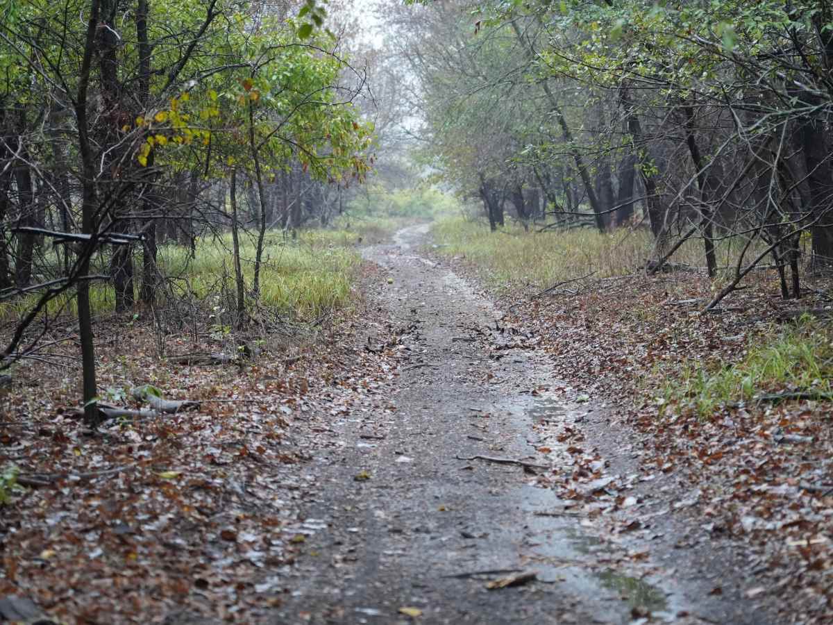 Otter Creek Main Trail trail photo