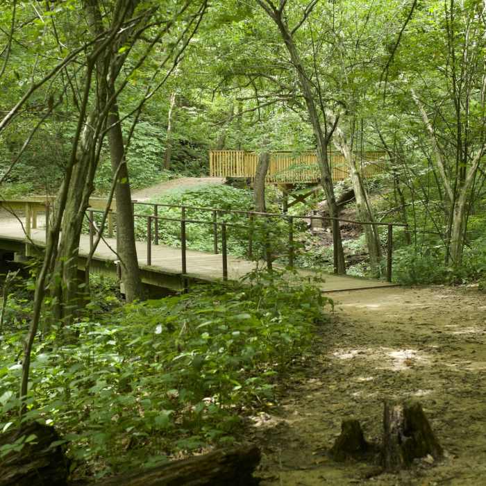 Near Lower Picnic Area Trail