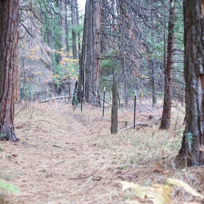 Near Lookout Point Trail