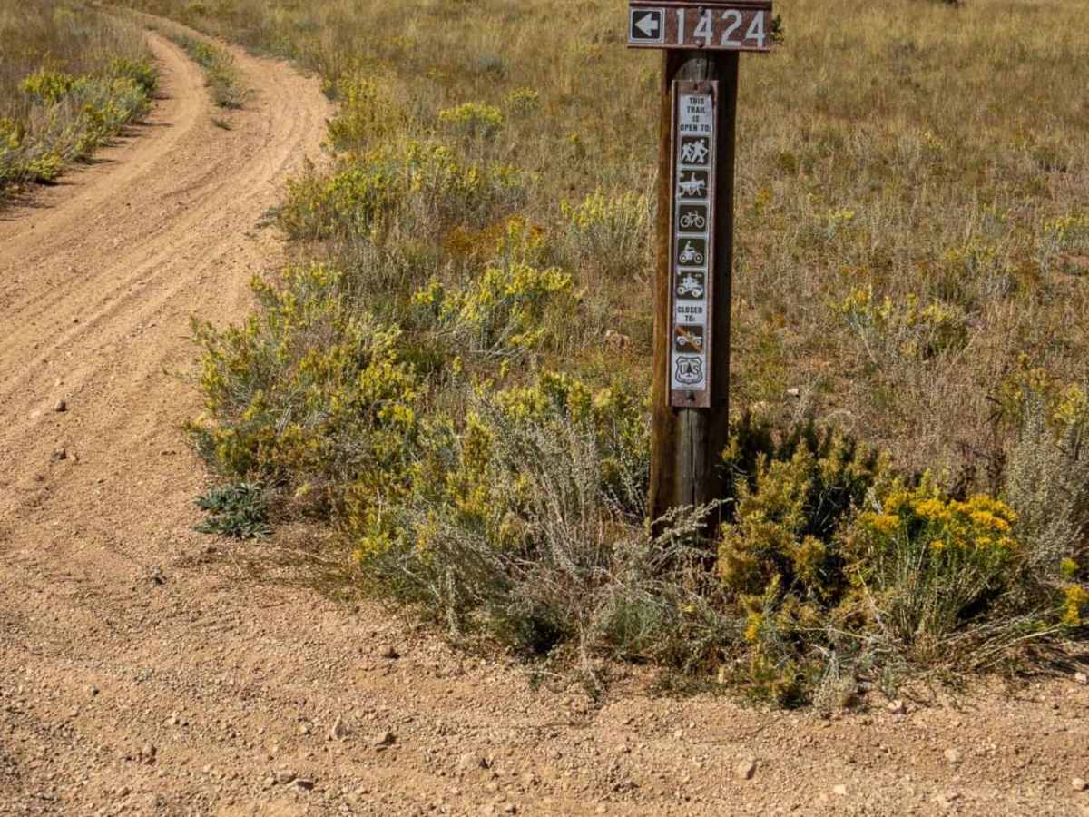 Triad Ridge East (ATV) photo 5