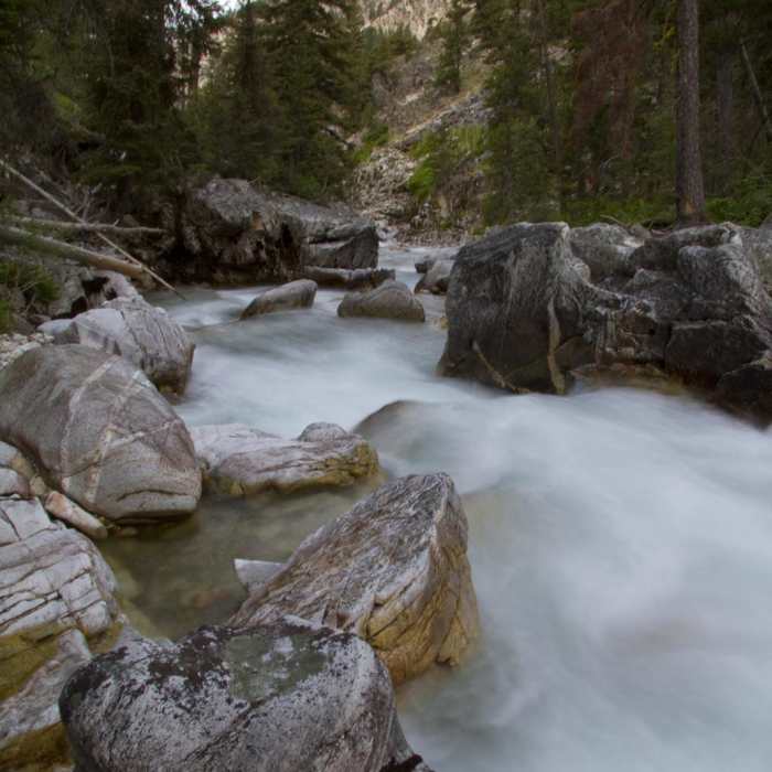 Near Middle Fork of the Boise River, Powerplant Trailhead to Mattingly Junction Near Middle Fork of the Boise River, Powerplant Trailhead to Mattingly Junction