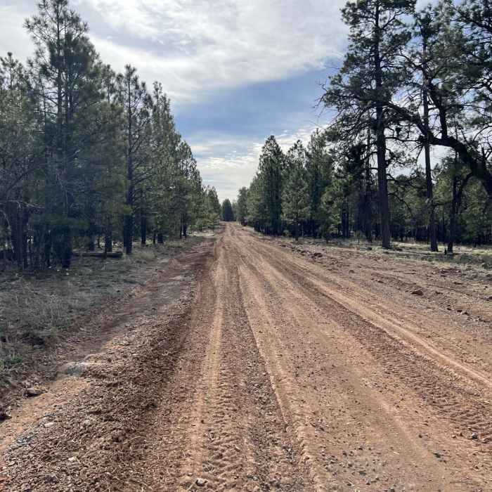 Near Arizona Trail Passage 27: Blue Ridge Near Arizona Trail Passage 27: Blue Ridge