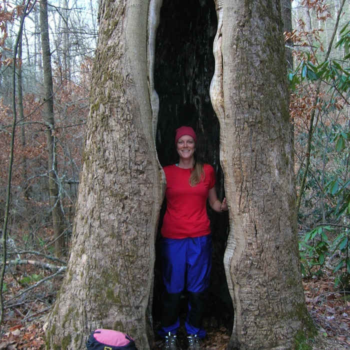 Near Boogerman Trail