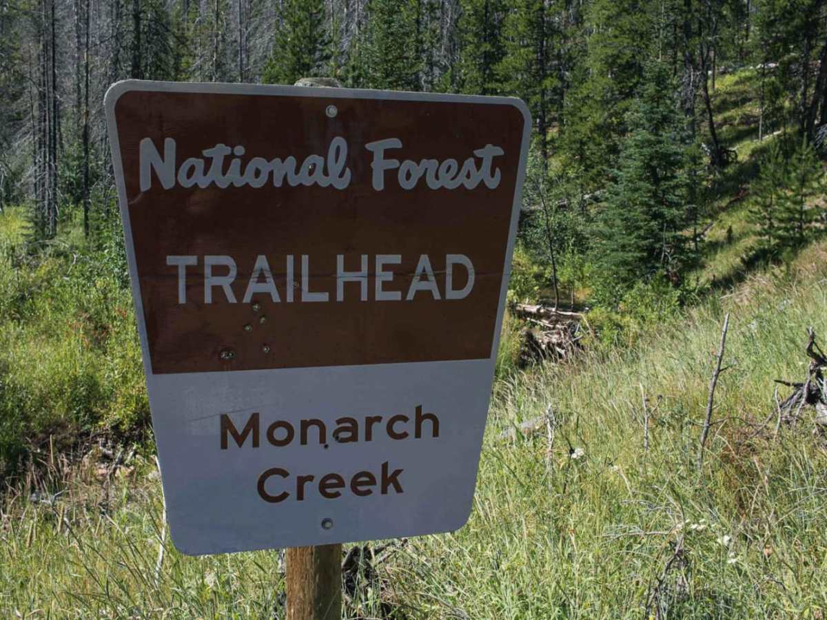 Monarch trail photo