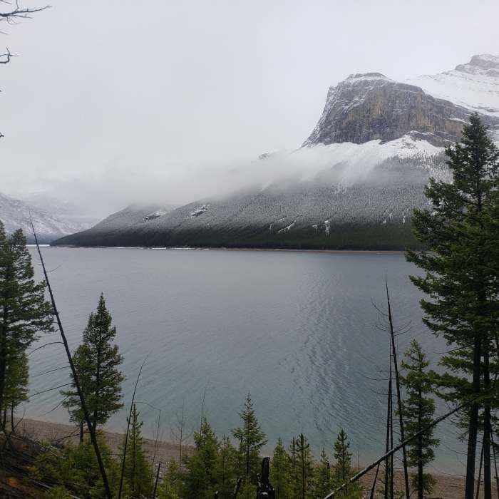 Near Lake Minnewanka: Warden's Cabin Out-and-Back