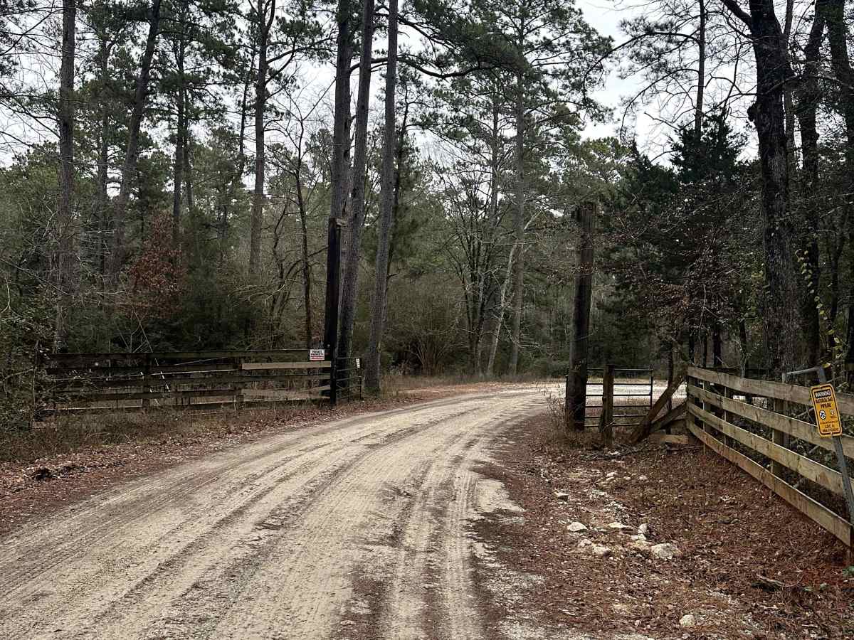 FS 239 trail photo