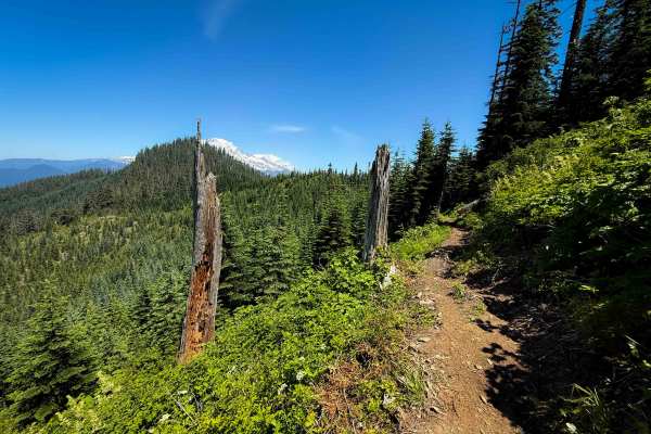 Allen Mountain Trail - 269