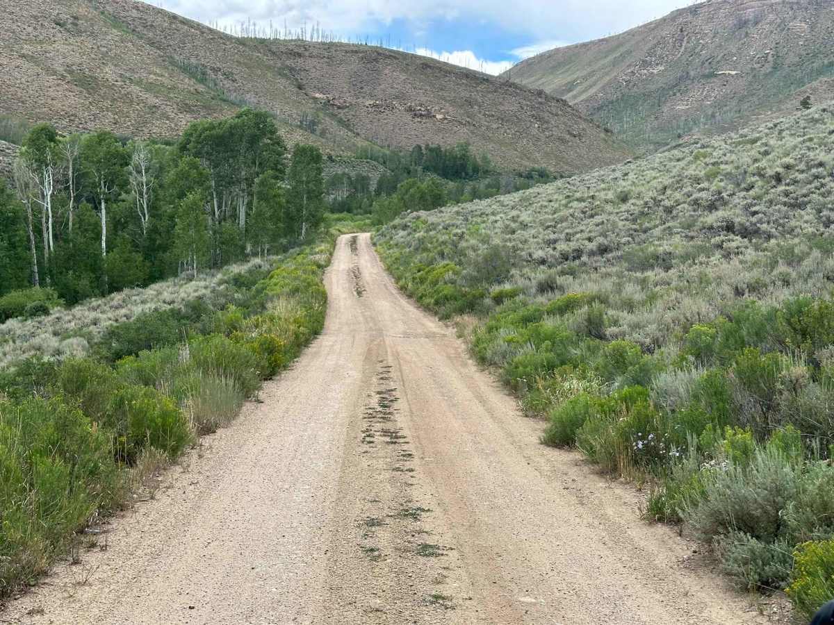 Kinney Creek - BLM 2755 photo 4