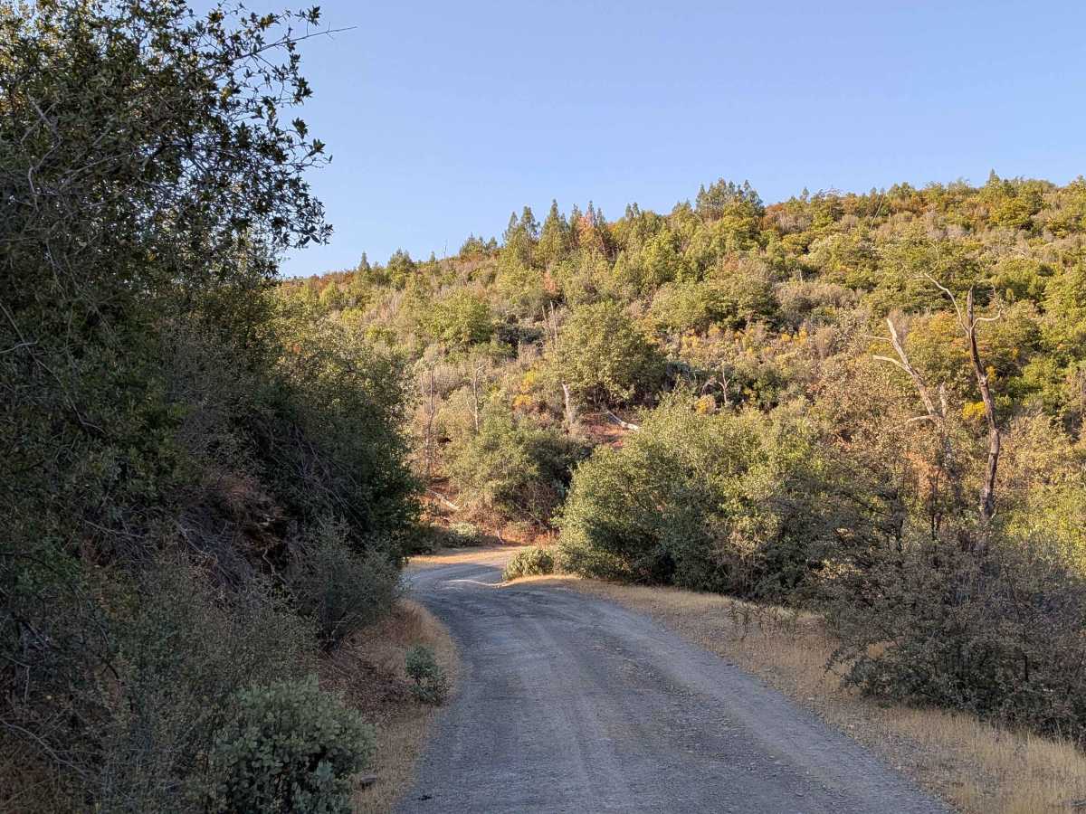 Bull Creek Road South photo 6