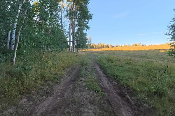 North Elk Cutoff Road - FS 248