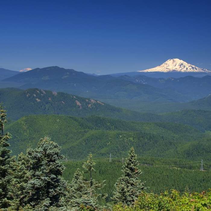 Near Augspurger Trail #4407