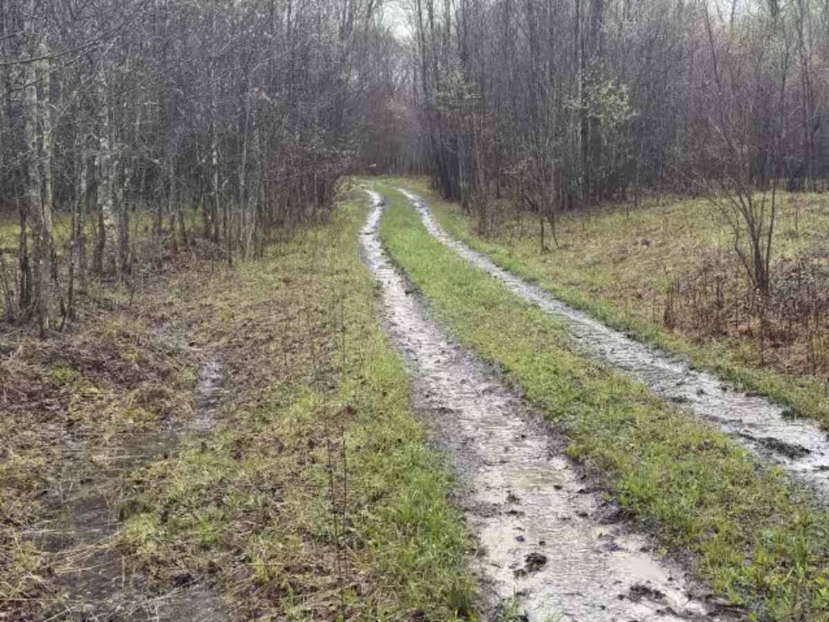 Whitey Cove trail photo