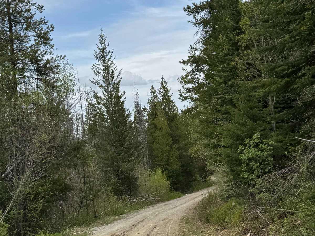 Black Canyon Road - FS 4010 photo 3