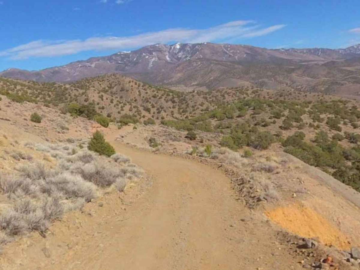 VCA Mine Road photo 5