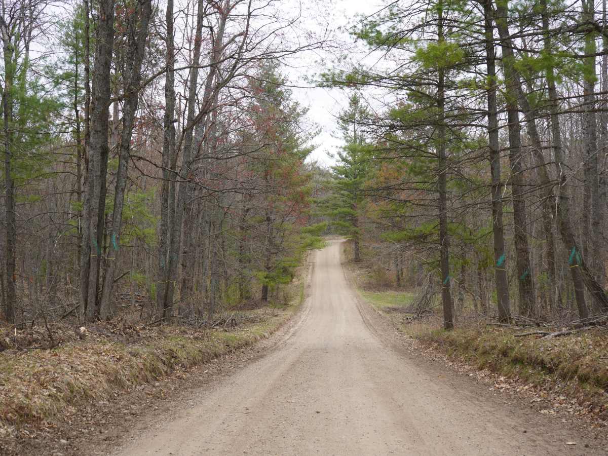 Sunrise Road - FS 4159 photo 2