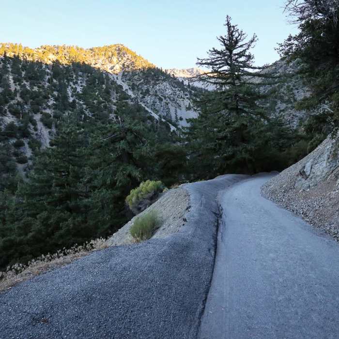 Near Mount Baldy Summit via Ski Hut Trail