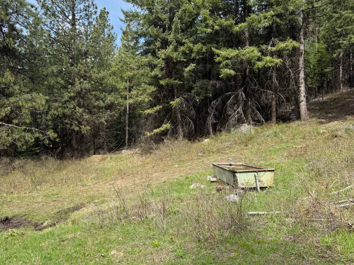 Tamarack Spring Trail photo 6