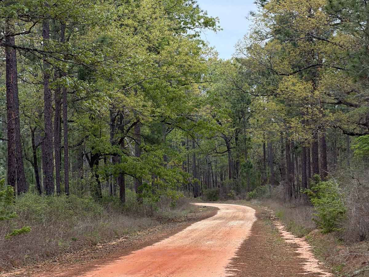 Cemetery Road trail photo