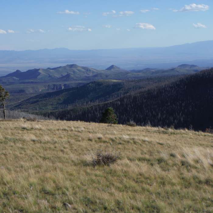 Near Pajarito Mountain Loop