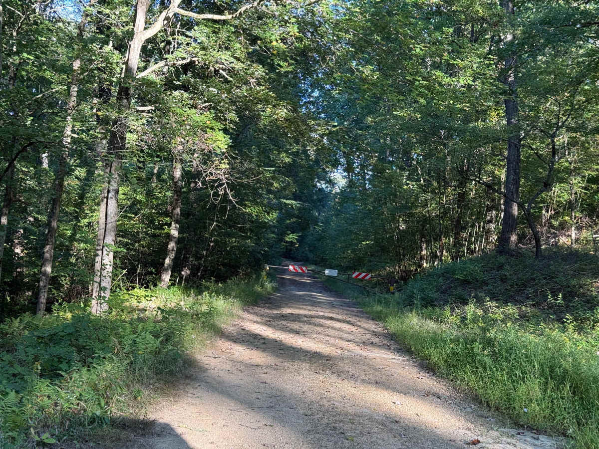 Brothwell Run - FS 625 photo 4