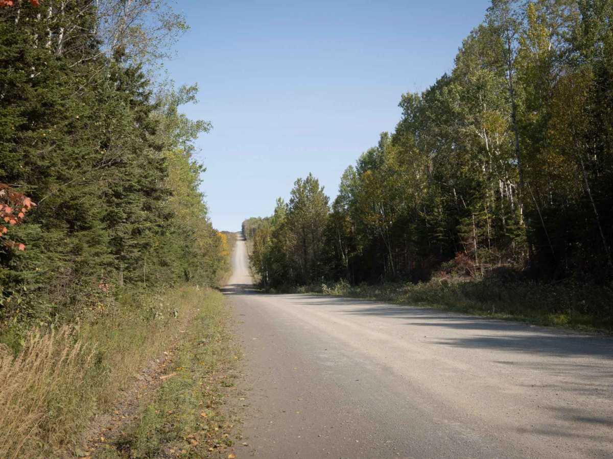 Dalhousie Road photo 2