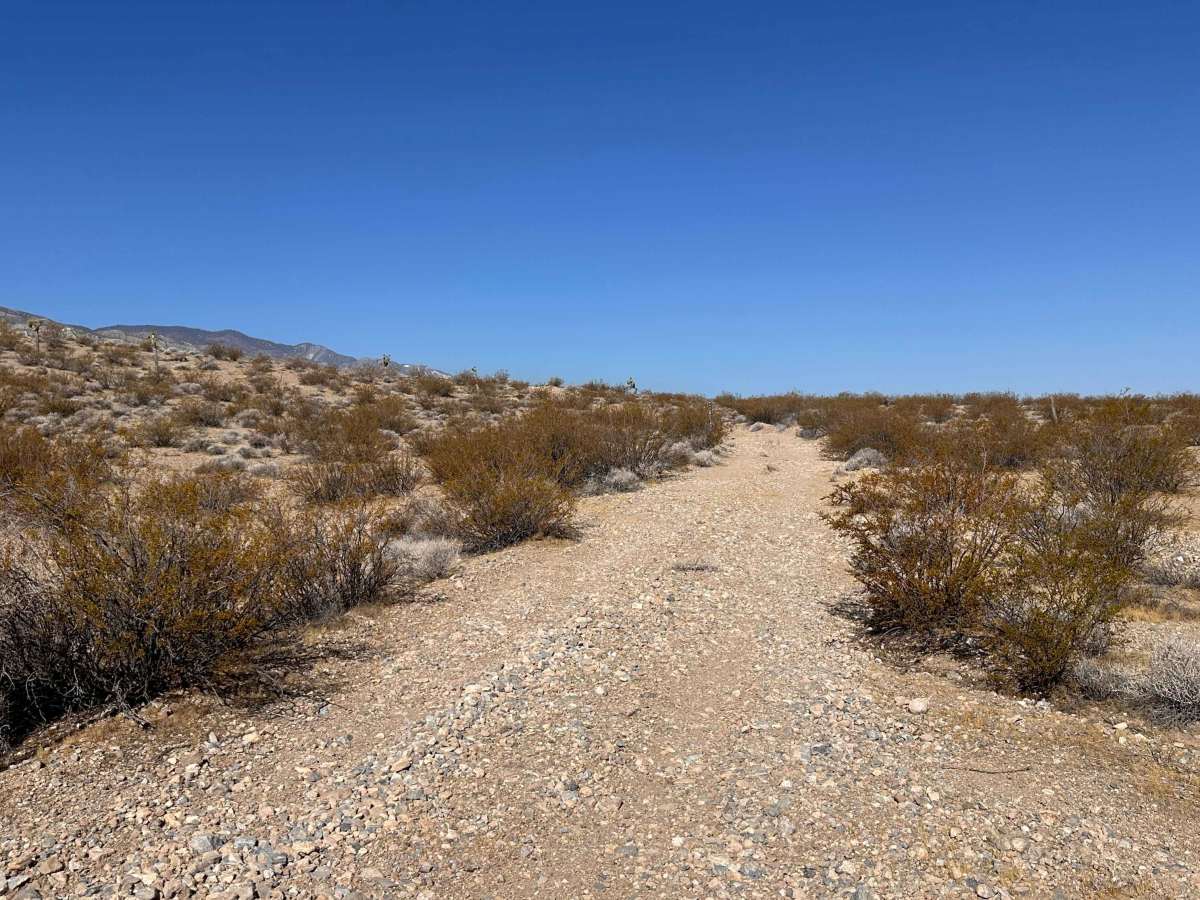 Coyote Flats photo 3