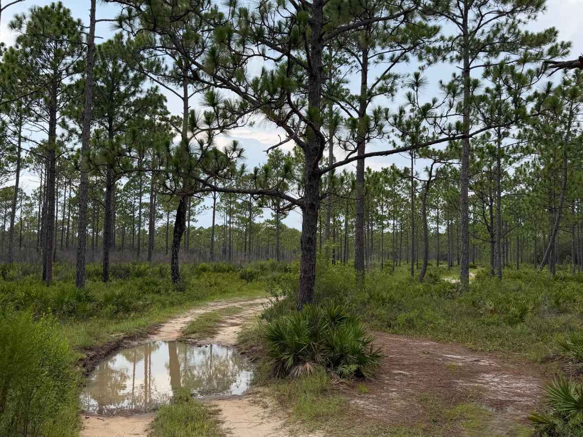 Muddy Crossings trail photo