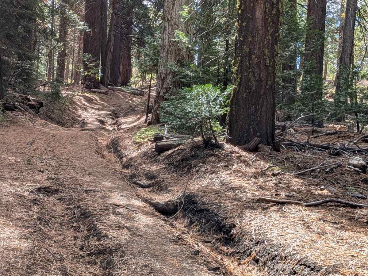 FS 5N11 trail photo