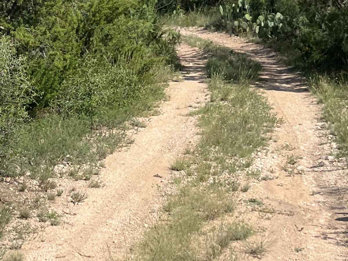 Park Road 5 - PR5 photo 4