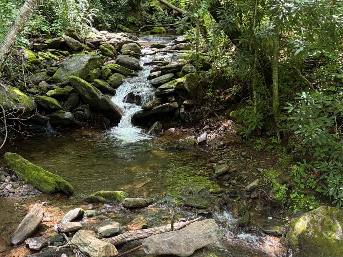 Davidson River Road - FS 475 trail photo