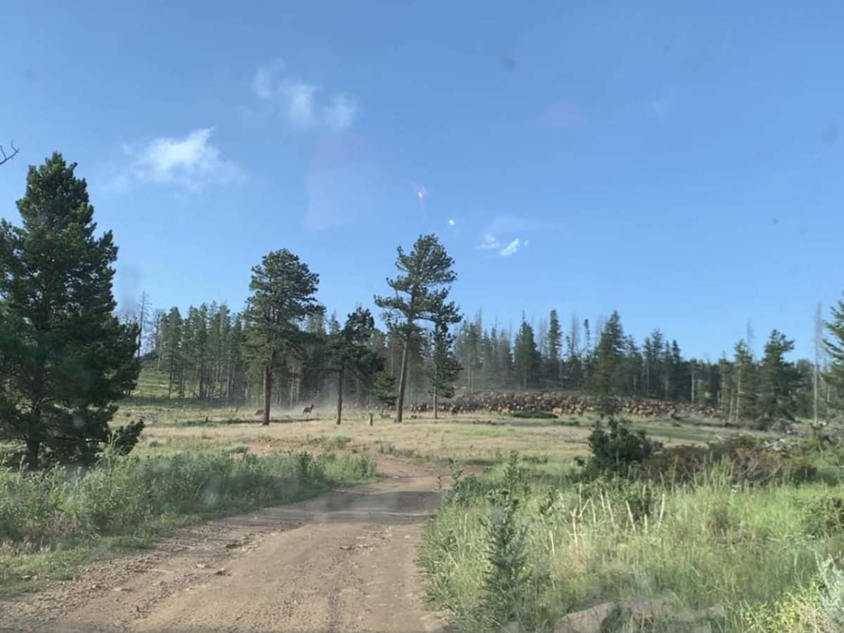 Pratt Creek trail photo