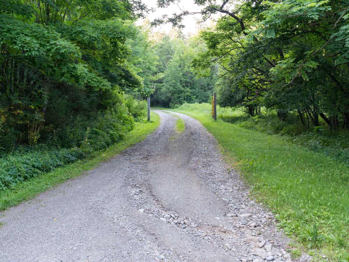 Old George - Davison Forest Road photo 4