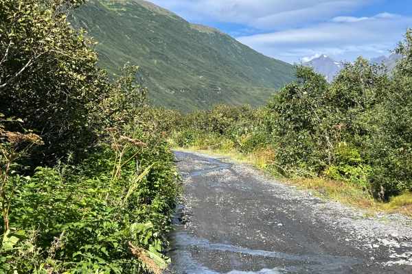 Mineral Creek